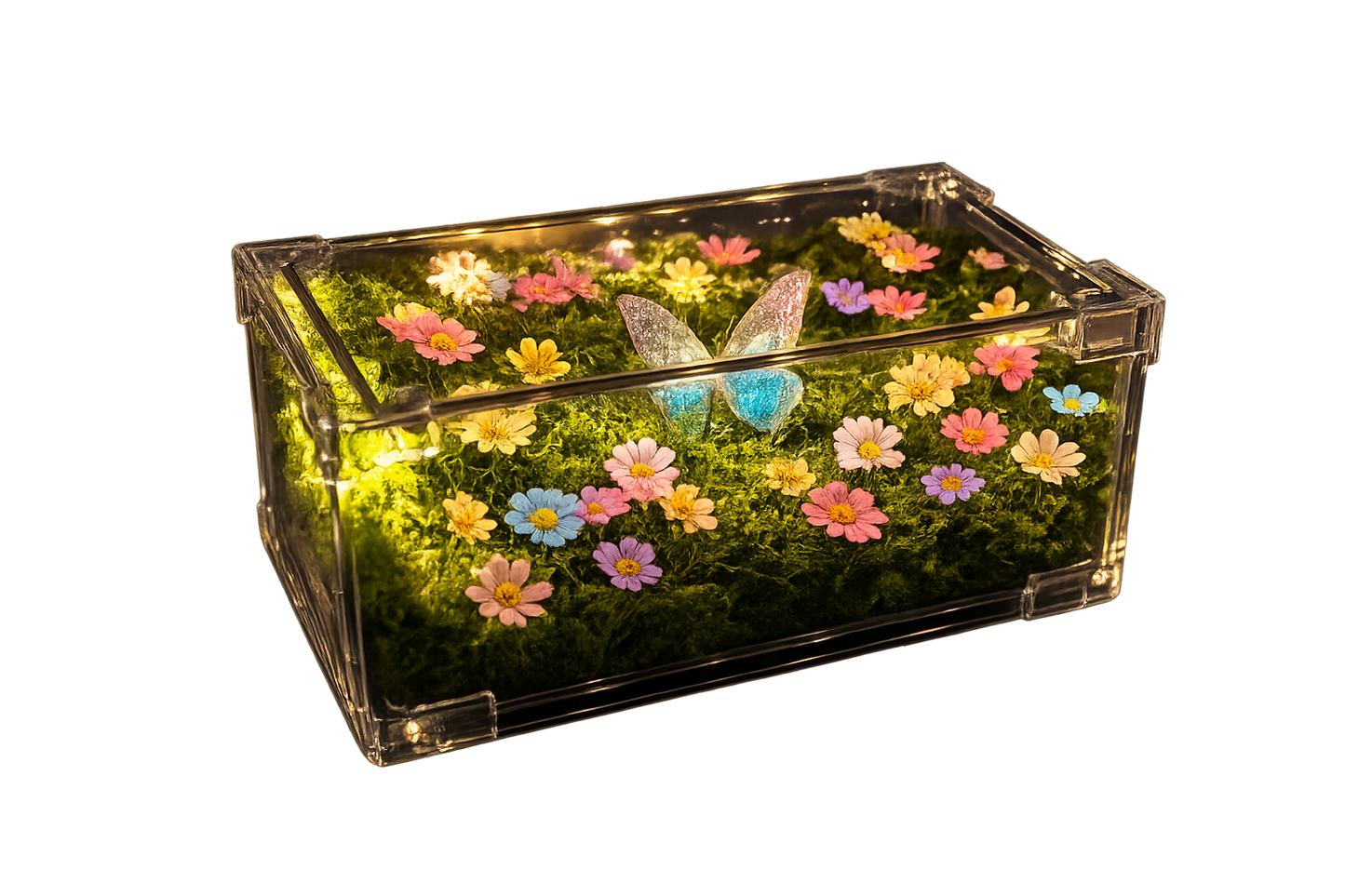 Jardín del Encanto Decorativo